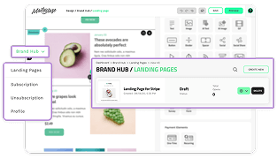 Stripe pre-sales screenshot
