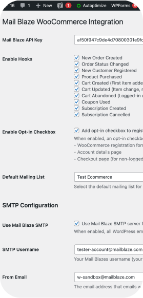 WooCommerce data sync screenshot
